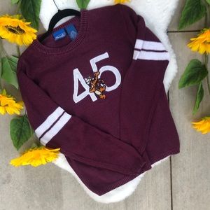 Disney Winnie the Pooh Tigger Sweater